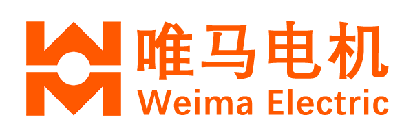 上电电机